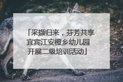 采撷归来，芬芳共享 宜宾江安橙乡幼儿园开展二级培训活动
