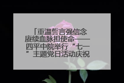 重温誓言强信念 赓续血脉担使命——四平中院举行“七一”主题党日活动庆祝建党104周年