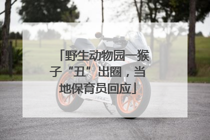 野生动物园一猴子“丑”出圈，当地保育员回应