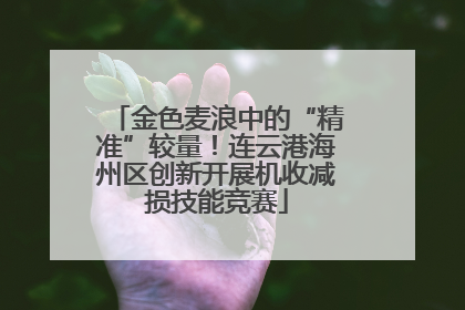金色麦浪中的“精准”较量！连云港海州区创新开展机收减损技能竞赛