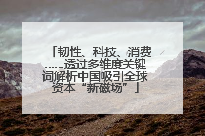 韧性、科技、消费……透过多维度关键词解析中国吸引全球资本“新磁场”