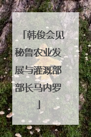 韩俊会见秘鲁农业发展与灌溉部部长马内罗