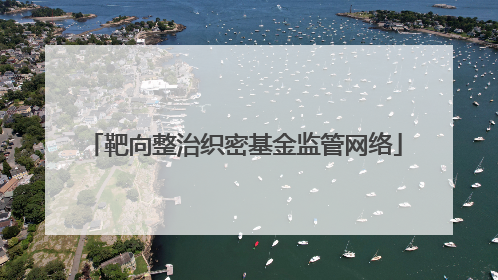 靶向整治织密基金监管网络