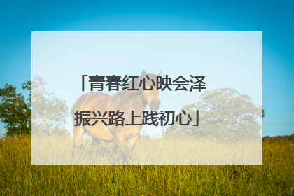 青春红心映会泽 振兴路上践初心