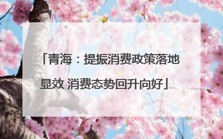 青海：提振消费政策落地显效 消费态势回升向好
