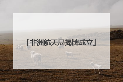 非洲航天局揭牌成立