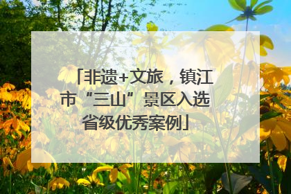 非遗+文旅，镇江市“三山”景区入选省级优秀案例