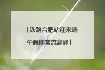 铁路合肥站迎来端午假期客流高峰