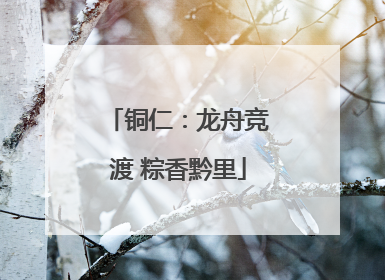 铜仁：龙舟竞渡 粽香黔里