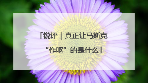 锐评｜真正让马斯克“作呕”的是什么