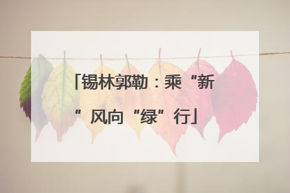 锡林郭勒：乘“新”风向“绿”行