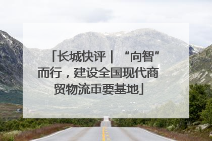 长城快评｜“向智”而行，建设全国现代商贸物流重要基地