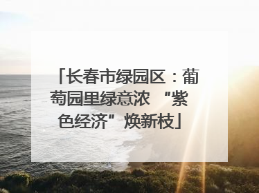 长春市绿园区：葡萄园里绿意浓 “紫色经济”焕新枝