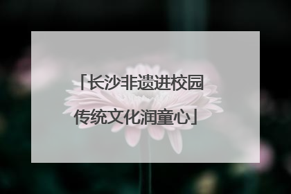 长沙非遗进校园 传统文化润童心