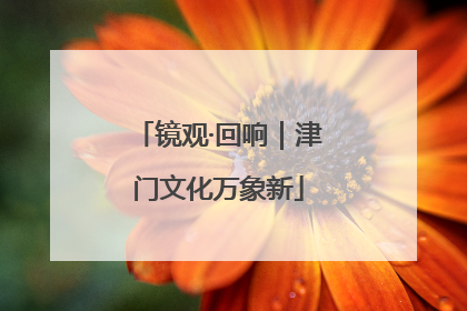 镜观·回响｜津门文化万象新