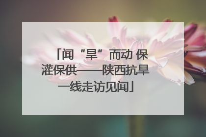 闻“旱”而动 保灌保供——陕西抗旱一线走访见闻