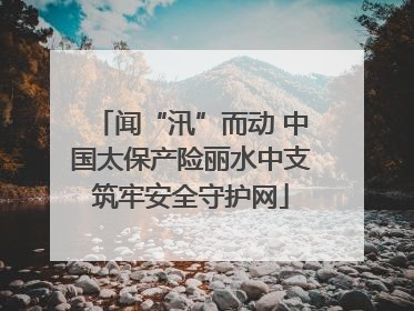 闻“汛”而动 中国太保产险丽水中支筑牢安全守护网