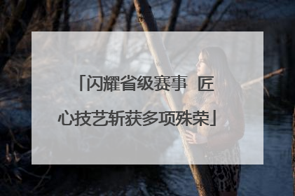 闪耀省级赛事  匠心技艺斩获多项殊荣