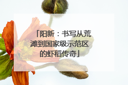 阳新：书写从荒滩到国家级示范区的虾稻传奇