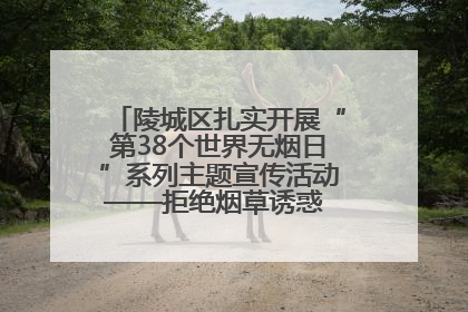 陵城区扎实开展“第38个世界无烟日”系列主题宣传活动——拒绝烟草诱惑 对第一支烟说不