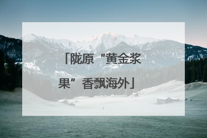陇原“黄金浆果”香飘海外