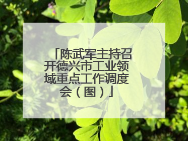 陈武军主持召开德兴市工业领域重点工作调度会（图）