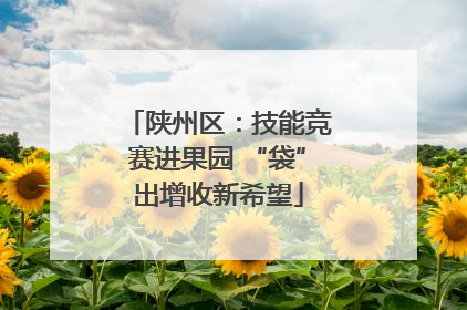 陕州区：技能竞赛进果园 “袋”出增收新希望