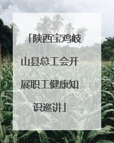 陕西宝鸡岐山县总工会开展职工健康知识巡讲