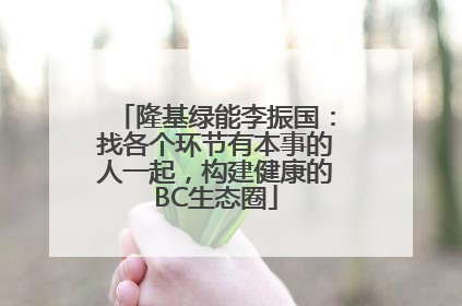 隆基绿能李振国：找各个环节有本事的人一起，构建健康的BC生态圈