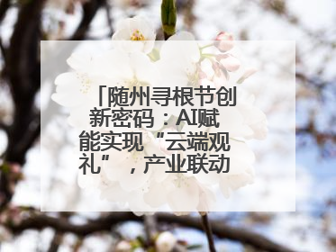 随州寻根节创新密码：AI赋能实现“云端观礼”，产业联动助推经济发展