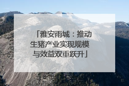 雅安雨城：推动生猪产业实现规模与效益双重跃升