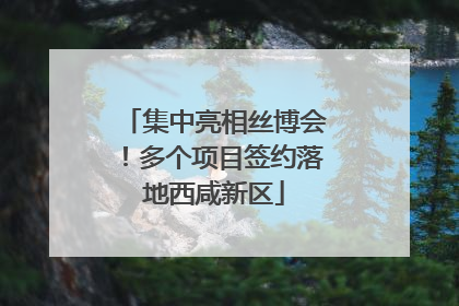 集中亮相丝博会！多个项目签约落地西咸新区