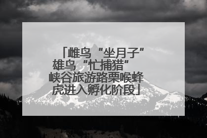 雌鸟“坐月子”雄鸟“忙捕猎” 峡谷旅游路栗喉蜂虎进入孵化阶段