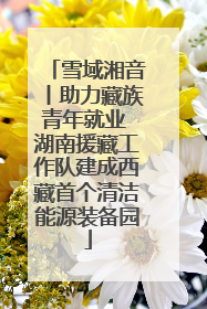 雪域湘音丨助力藏族青年就业 湖南援藏工作队建成西藏首个清洁能源装备园