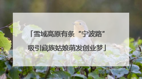 雪域高原有条“宁波路” 吸引藏族姑娘萌发创业梦