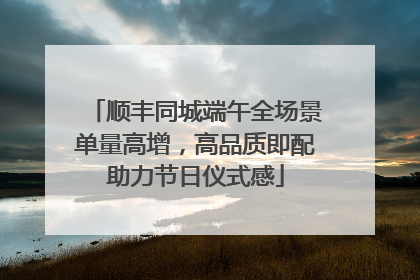 顺丰同城端午全场景单量高增，高品质即配助力节日仪式感