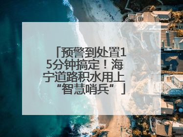 预警到处置15分钟搞定！海宁道路积水用上“智慧哨兵”