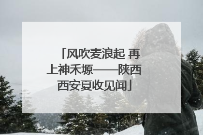 风吹麦浪起 再上神禾塬——陕西西安夏收见闻