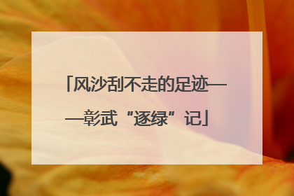 风沙刮不走的足迹——彰武“逐绿”记