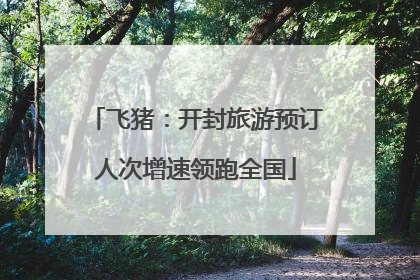 飞猪：开封旅游预订人次增速领跑全国