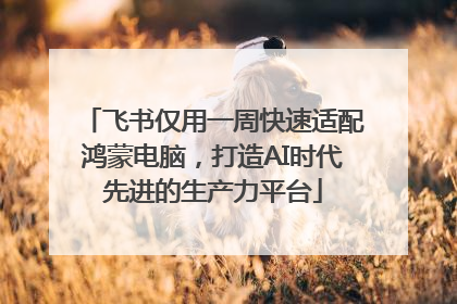 飞书仅用一周快速适配鸿蒙电脑，打造AI时代先进的生产力平台