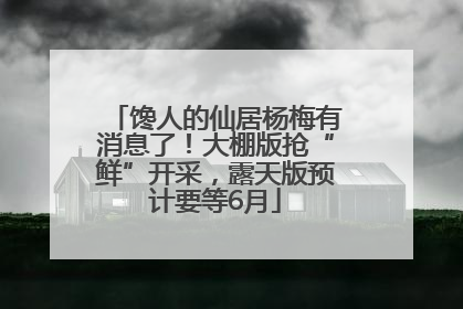 馋人的仙居杨梅有消息了！大棚版抢“鲜”开采，露天版预计要等6月