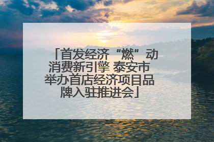 首发经济“燃”动消费新引擎 泰安市举办首店经济项目品牌入驻推进会