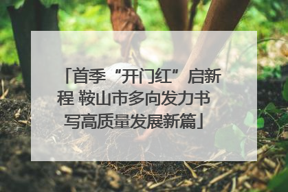 首季“开门红”启新程 鞍山市多向发力书写高质量发展新篇