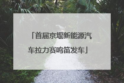 首届京堰新能源汽车拉力赛鸣笛发车