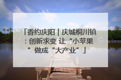香约庆阳｜庆城桐川镇：创新求变 让“小苹果”做成“大产业”
