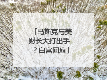马斯克与美财长大打出手？白宫回应