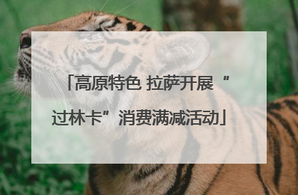 高原特色 拉萨开展“过林卡”消费满减活动