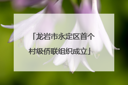 龙岩市永定区首个村级侨联组织成立
