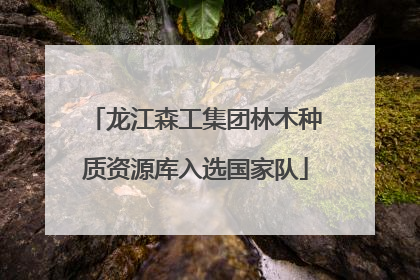 龙江森工集团林木种质资源库入选国家队
